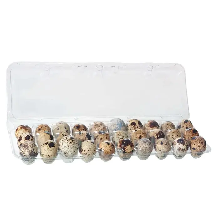 Ovos de Codorna Katayama 30un